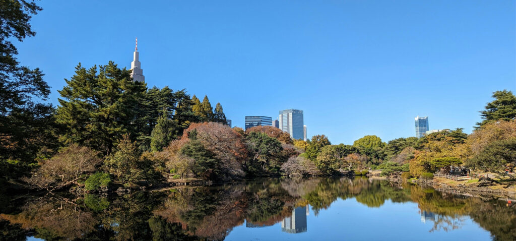 a view of Shinjuku Gyoen Garden looking over a pond with the reflection of Highrise buildings.