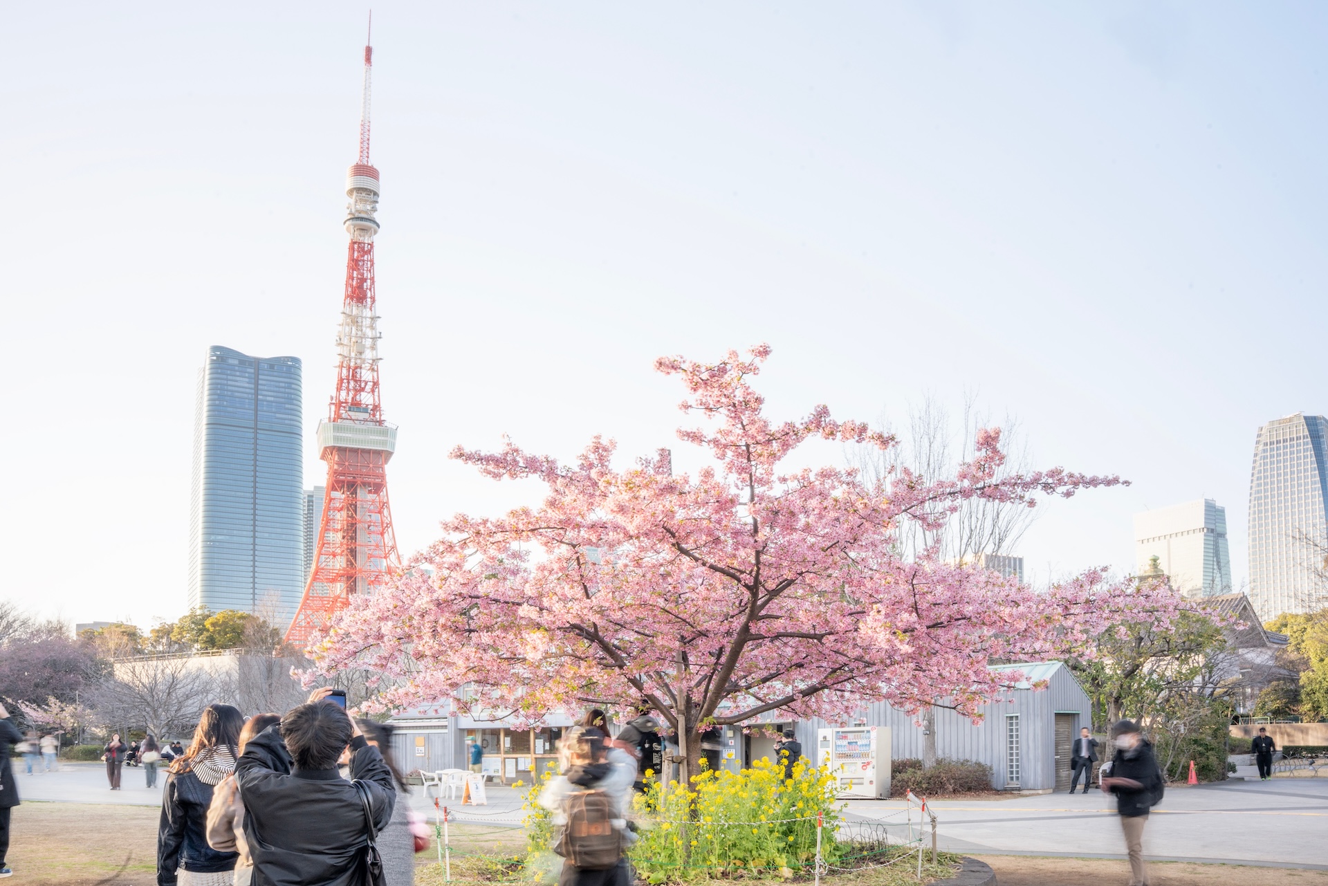Housing Japan, luxury property for sale in Tokyo